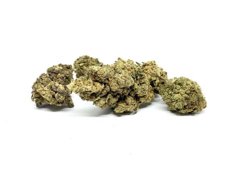 Sativa Poland Susz CBD Super Silver Haze 1G - 3